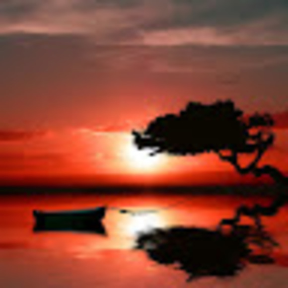 Meet your Posher, Kim - Picture 1 of 1